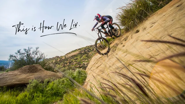 charnwood forest mountain biking