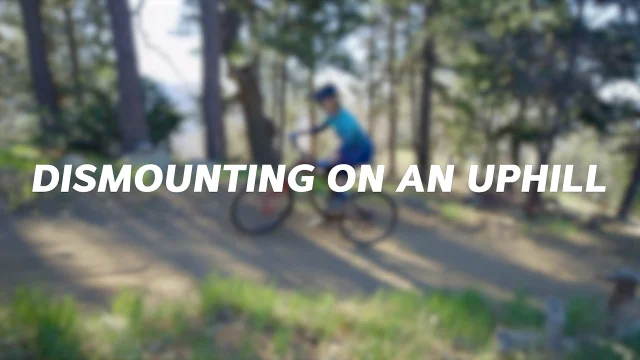 charnwood forest mountain biking